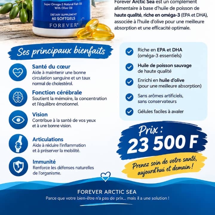 Forever Arctic sea — vue 2